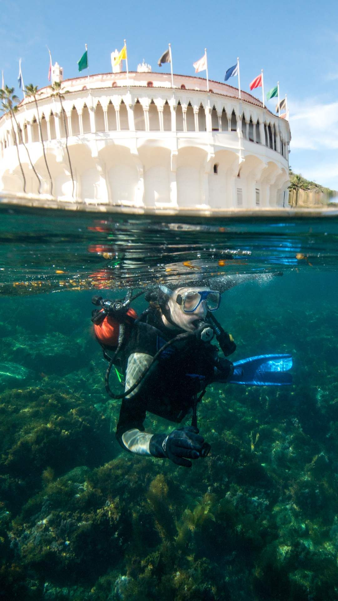snorkeling off California Coast at Catalina Island