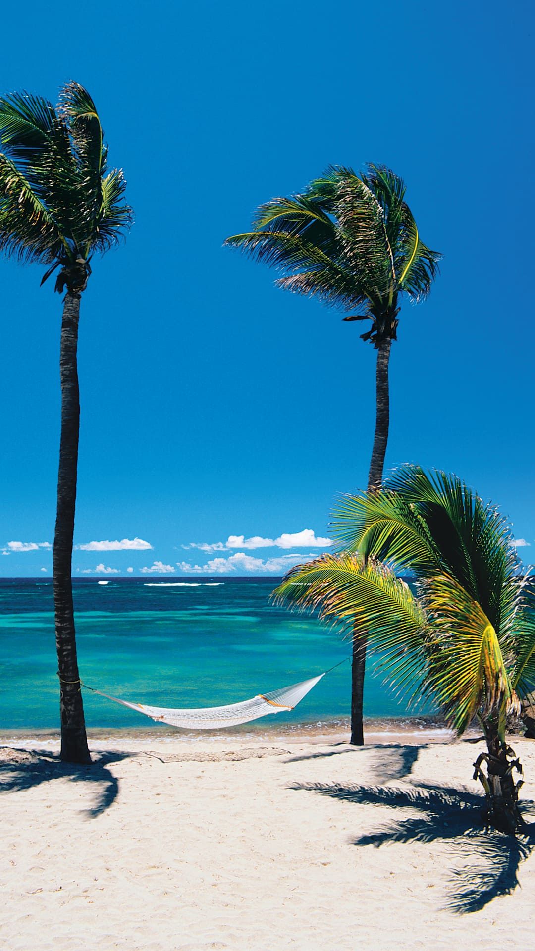 hammock on the beach 