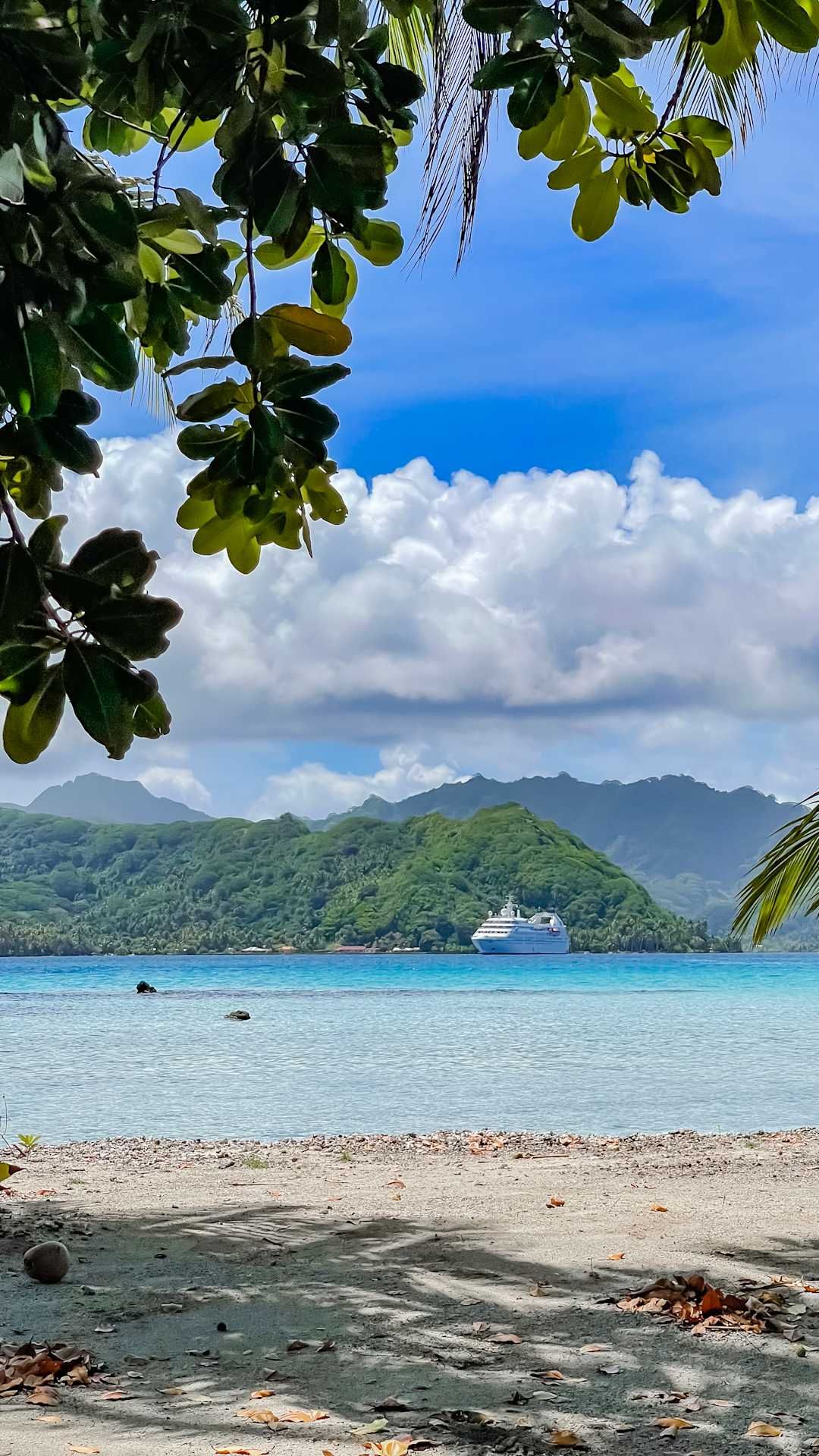 beach in motumahaea south pacific tahiti with view of landscape & yacht